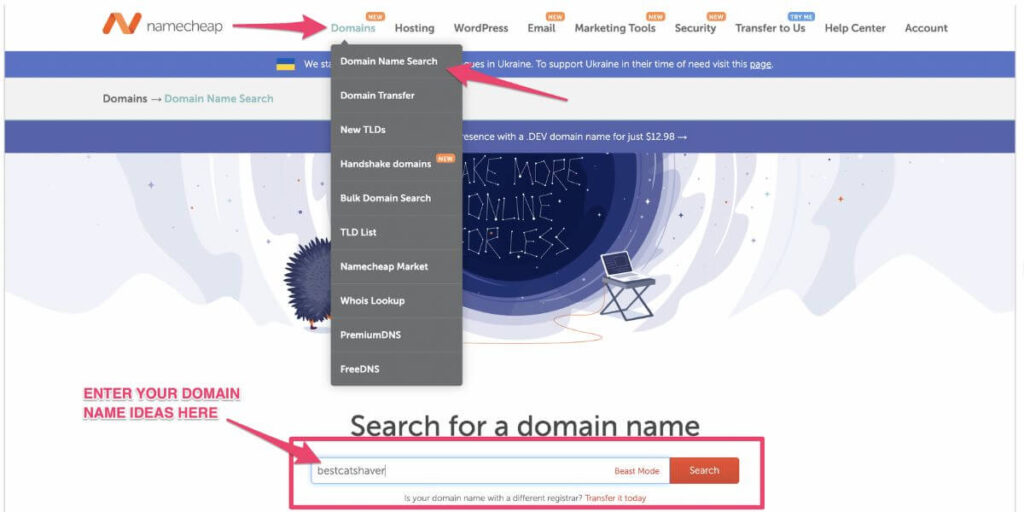 Namecheap domain search